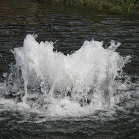 Scott Aerator Boilermaker Pond Aerator - 2 HP 230V Surface Aerator with 100ft Electric Cord - Low Profile High Volume Pond Aerator for Small & Large Ponds - Efficient Pond Aeration System