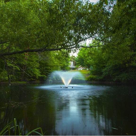 Scott Aerator DA-20 Display Pond Aerator 1/2 Horse Power 115V 100ft Cord | Aerating Pond Fountain for Small Ponds