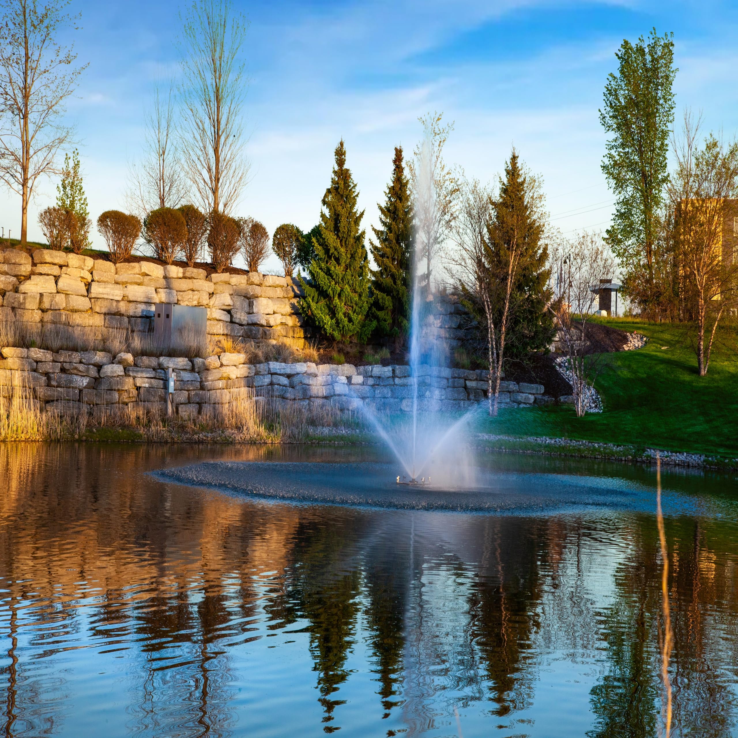 Scott Aerator Skyward Fountain - 1/2 HP, 115V, 200 ft. Cord | Fountain ...