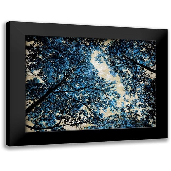 Scott, Derek 14x12 Black Modern Framed Museum Art Print Titled - Blue Forest II