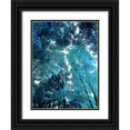 thumbnail image 1 of Scott, Derek 25x32 Black Ornate Wood Framed with Double Matting Museum Art Print Titled - Blue Forest I, 1 of 4