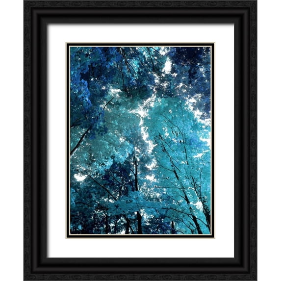 Scott, Derek 25x32 Black Ornate Wood Framed with Double Matting Museum Art Print Titled - Blue Forest I