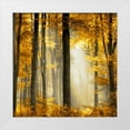 thumbnail image 1 of Scott, Derek 26x26 White Modern Wood Framed Museum Art Print Titled - Sunlit Forest II, 1 of 4