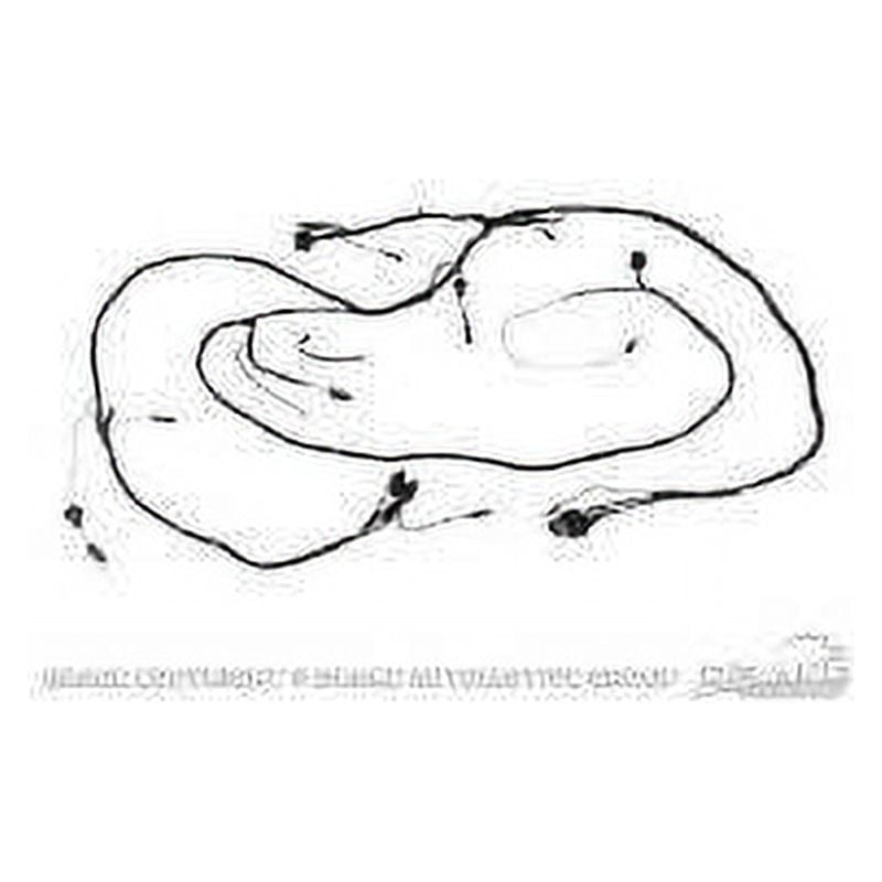 Scott Drake C5ZZ-14290-WG Headlight Wiring Harness with Fog Light Feed Built In