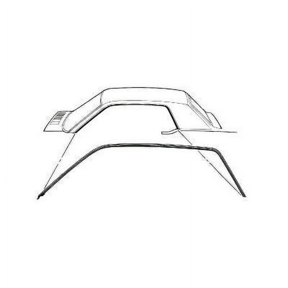 Scott Drake C5ZZ-6551222-3C 1965-1966 Coupe Roof Rail Weatherstripping