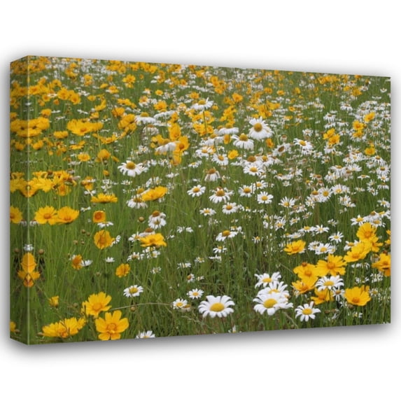 Scott Larson 24x20 Gallery Wrapped Canvas Wall Art Titled - High Meadow II