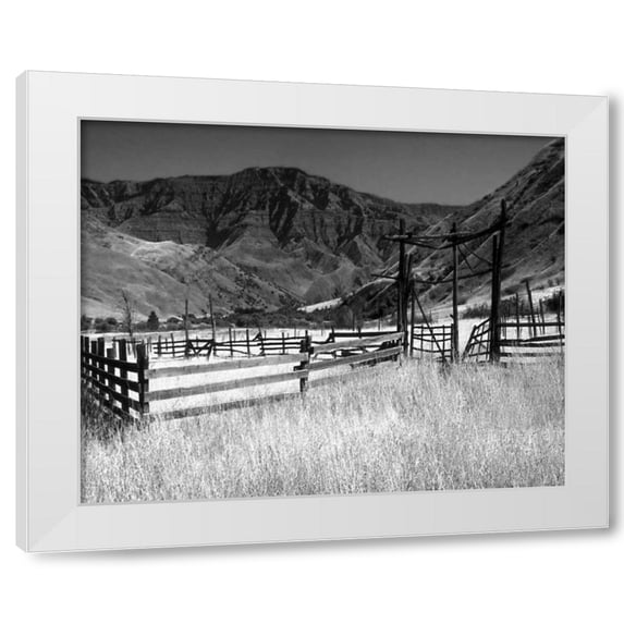 Scott Larson 32x26 White Modern Wood Framed Wall Art Titled - Summer Corral I