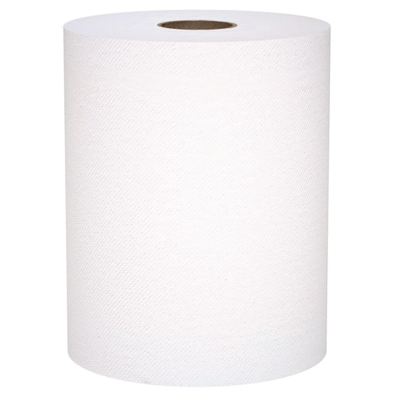 Scott Regular Roll Paper Towels 6 Pk
