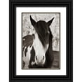 thumbnail image 1 of Scott, Traer 23x32 Black Ornate Wood Framed with Double Matting Museum Art Print Titled - Pale Eyed Stallion, 1 of 4