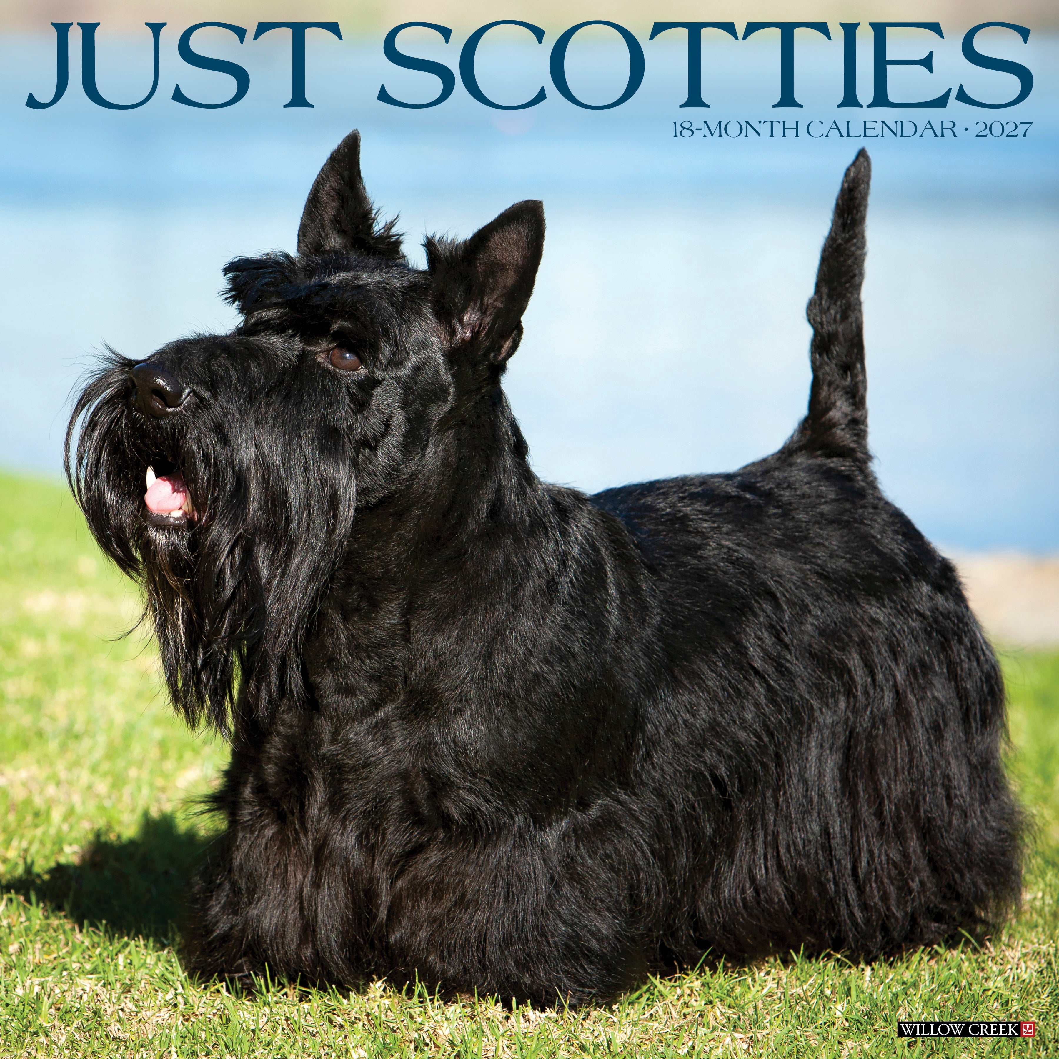 Willow Creek Press, Scotties 2027 Wall Calendar