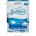 thumbnail image 1 of Scotties Everyday Comfort Facial Tissues, 230 Count (Pack of 3), 1 of 5