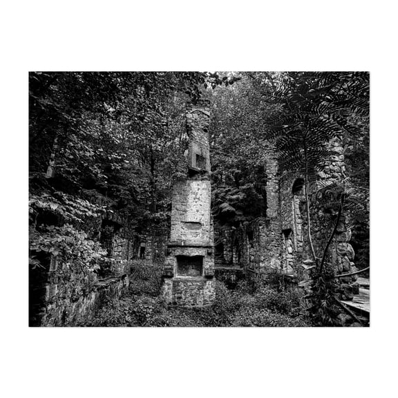 Scottish Baronial (CE) - Cold Spring New York Photography Abandoned Black and White Architecture Forest Nature Gothic Woods Unframed Wall Art Print 36 x 48 inches