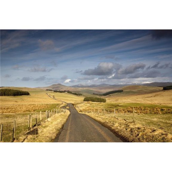 Scottish Borders - Scotland - A Road with Fields On Both Sides Poster Print