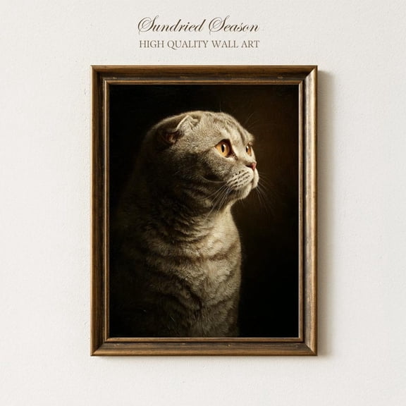 Scottish Fold Cat Portrait Fluffy Grey Pet Golden Eyes Cozy