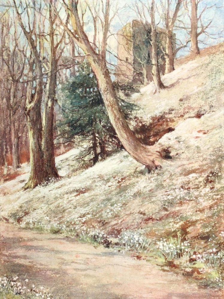 Scottish Gardens 1908 Ardgowan Canvas Art - Mary GW Wilson (18 x 24)