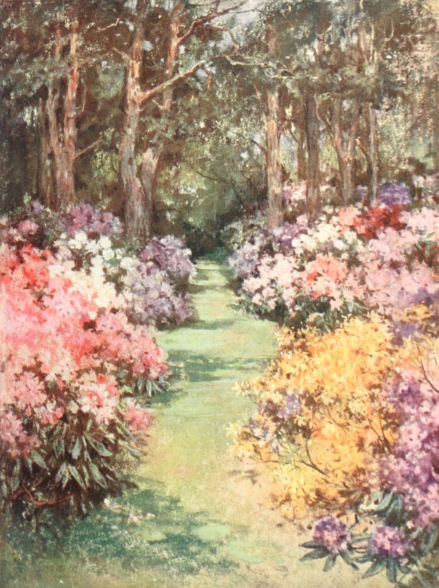 Scottish Gardens 1908 Hirsel Canvas Art - Mary GW Wilson (24 x 36)