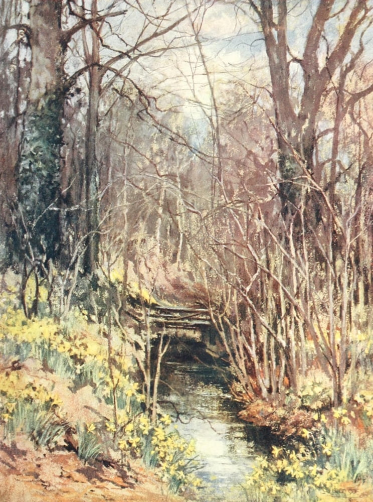 Scottish Gardens 1908 Monreith Canvas Art - Mary GW Wilson (18 x 24)