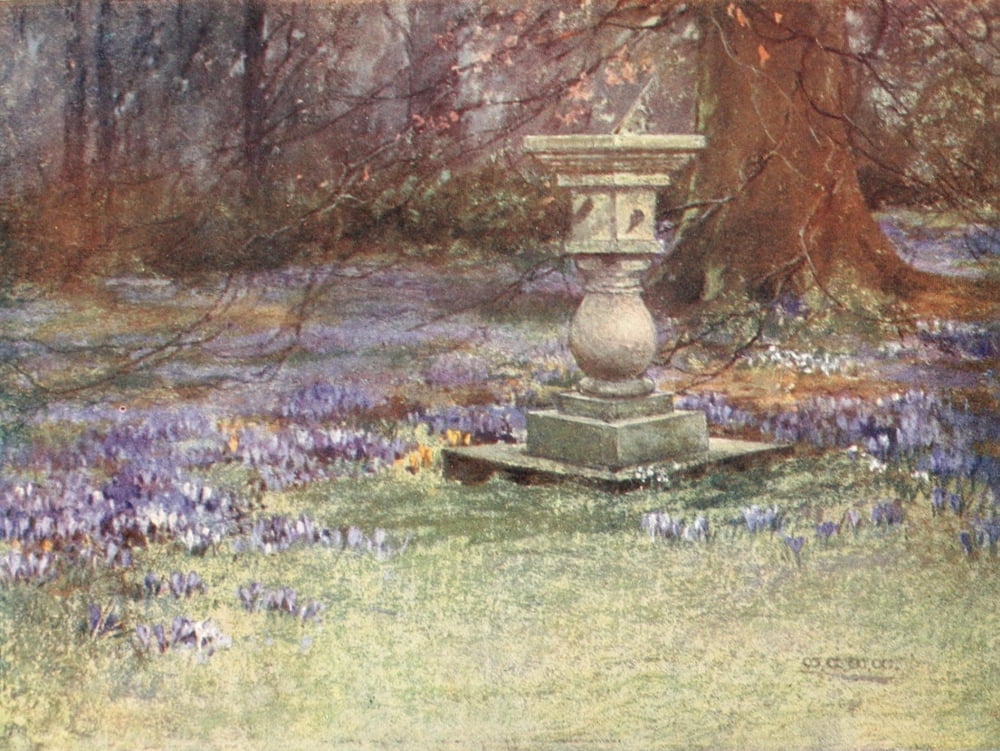 Scottish Gardens 1908 Whitehouse Canvas Art - Mary GW Wilson (24 x 36)
