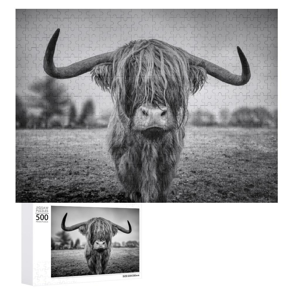 Scottish Highland Cattle as Black and Ewhite Image Jigsaw Puzzles 500