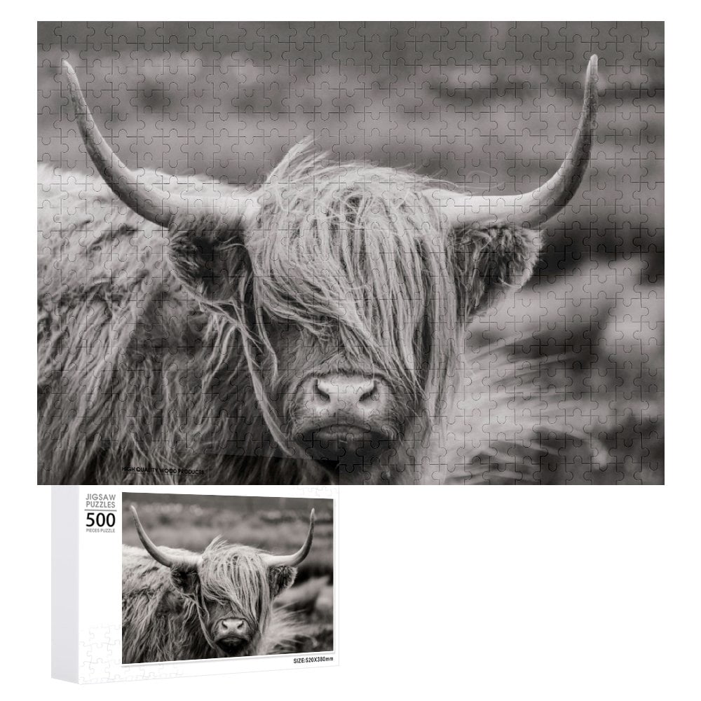 Scottish Highland Cattle Jigsaw Puzzles 500 Pieces for Adults, Large