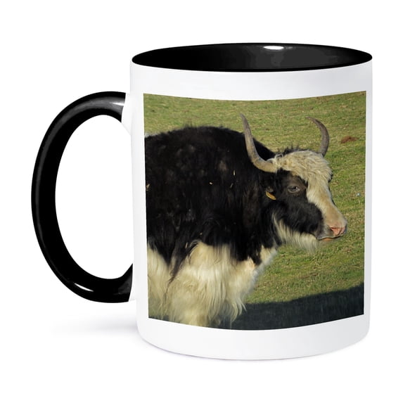 3dRose, Scottish Highland Cow, 15oz Two-Tone Black Mug