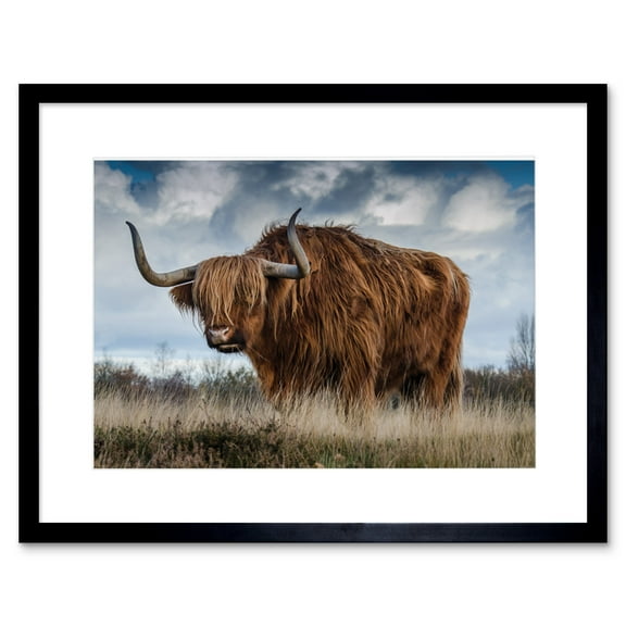 Scottish Highland Cow Coo Framed Wall Art Print