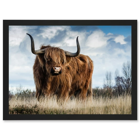 Scottish Highland Cow Hairy Coo Photo Artwork Framed Wall Art Print A4