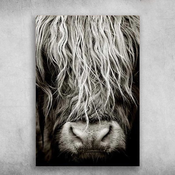 Scottish Highland Cows 24 x 36 Inch Poster