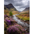 thumbnail image 1 of Scottish Highlands Heather River Canvas Print Wall Art, Nature Scenery Decor for Living Room Bedroom Hotel Cafe, 1 of 8