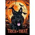 thumbnail image 1 of Scottish Terrier - Best of Breed  Halloween Garden Flag, 1 of 1