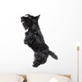 thumbnail image 1 of Scottish Terrier Wall Decal by Wallmonkeys Peel and Stick Graphic (24 in H x 17 in W) WM25456, 1 of 4