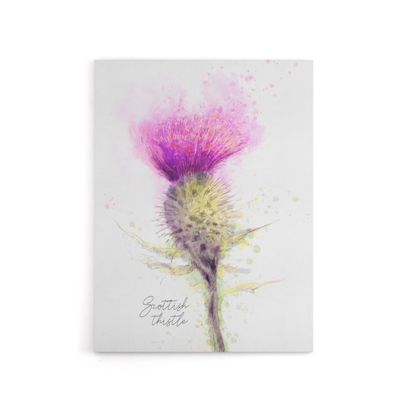Scottish Thistle Flower Head Canvas Wall Art Print 24X32"