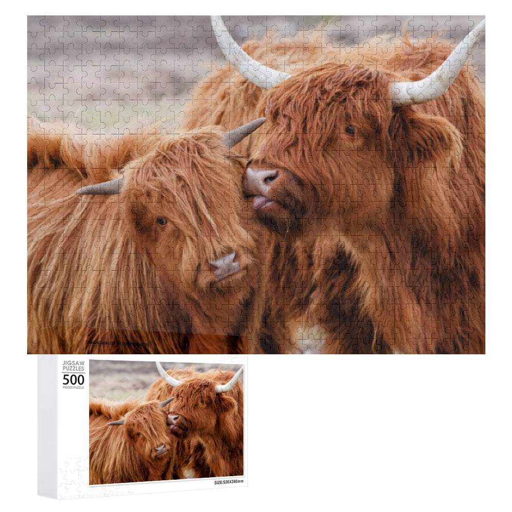 Scottish highlander or Highland cow cattle Jigsaw Puzzles 500 Pieces