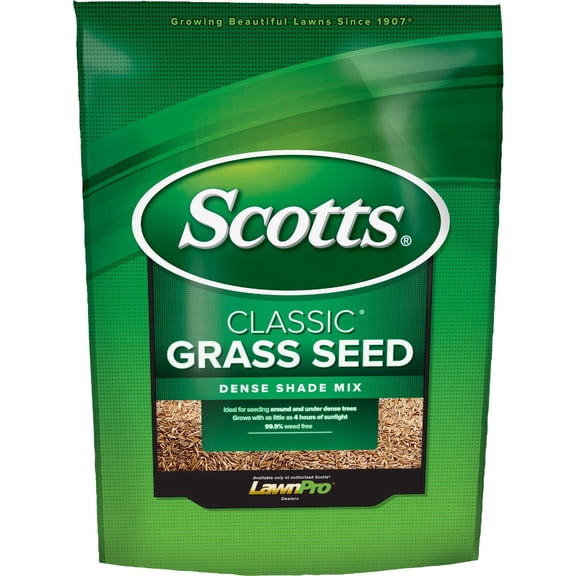 Scotts Classic Dense Shade Grass Seed - Single Pack