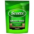 thumbnail image 1 of Scotts Solo Classic Grass Seed Dense Shade Mix - Shade Tolerant - 3 Lb Bag, 1 of 1