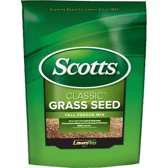 Scotts Classic Tall Fescue Grass Seed - Single Pack — Lawn & Landscape Use, Easy Application