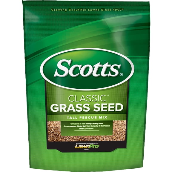 Classic Tall Fescue Mix Grass Seed Kentucky 31 - 7 Lb Bag