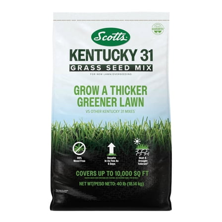 Scotts Kentucky 31 Grass Seed Mix for New Lawns or Overseeding, Grows Thicker and Greener vs. Other Kentucky 31 Mixes, Covers up to 10,000 sq. ft.