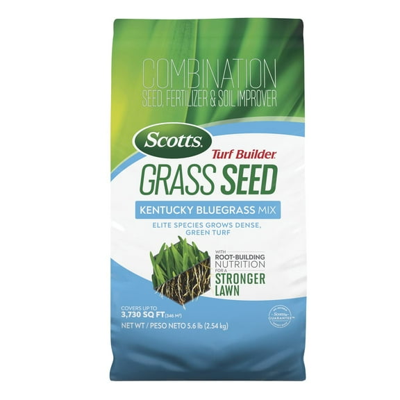 Scotts Turf Builder Grass Seed Kentucky MVR1Bluegrass Mix with Fertilizer and Soil Improver, Grows Dense, Green Turf, 5.6 lbs.