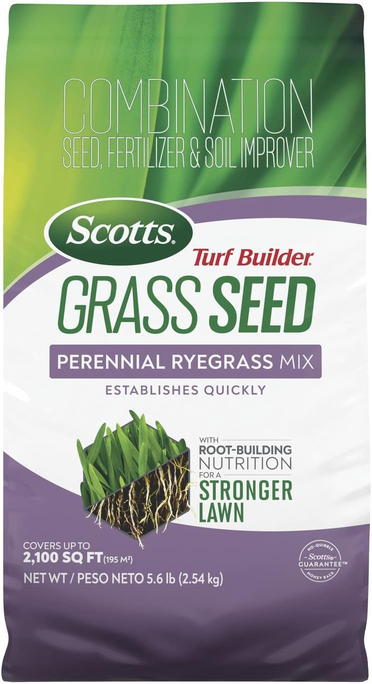 Scotts Turf Builder Grass Seed Perennial Ryegrass Mix with Fertilizer and Soil Improver