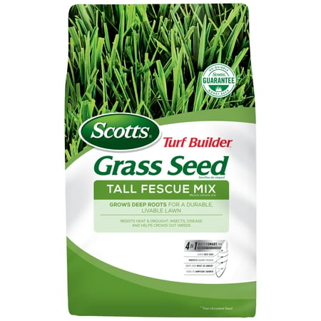 Scotts - Turf Builder Grass Seed Tall Fescue Mix - Tan