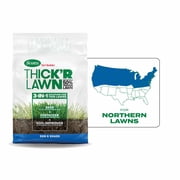 Scotts Turf Builder ThickR Lawn Sun and Shade, Thickens Thin Grass, 12 lbs.