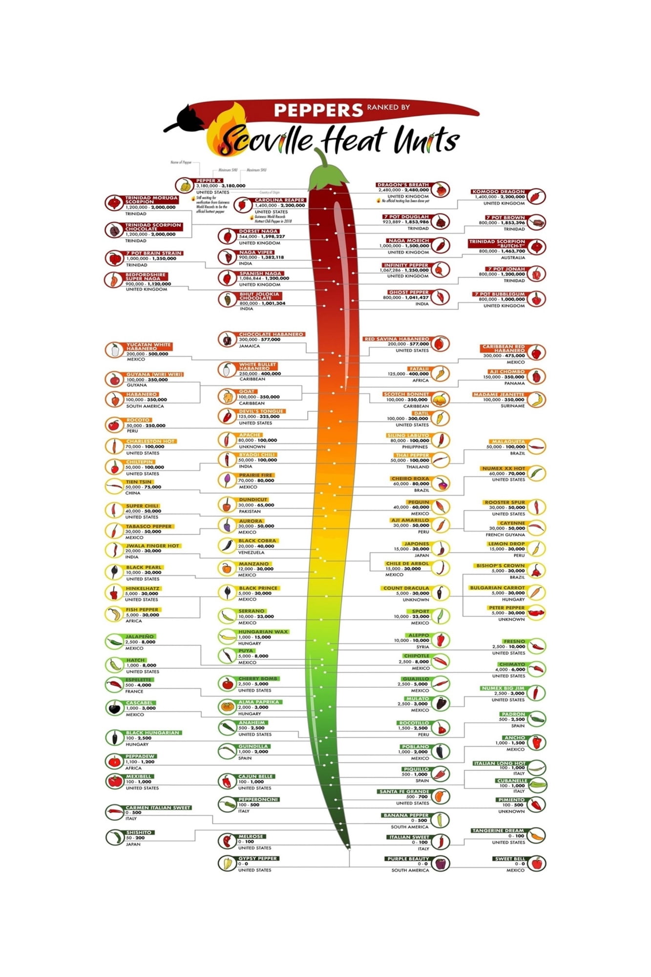 Scoville Heat Units Peppers Chart Chili Pepper Knowledge Guide Poster ...