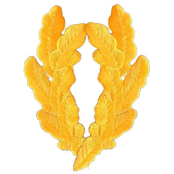 Scrambled Eggs Gold Tone Patch 3"