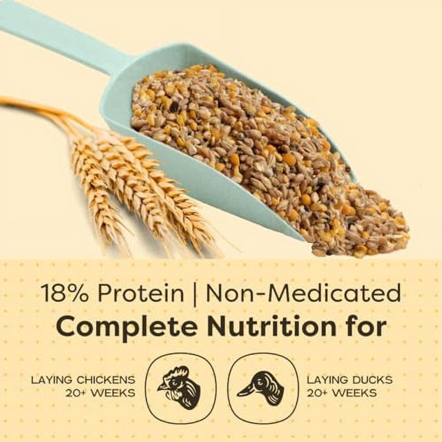 Scratch and Peck Feeds Organic Whole Grain Layer Feed + Corn, 18 Protein Premium Chicken and