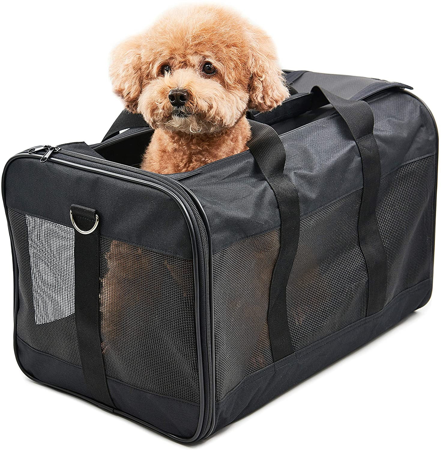 https://i5.walmartimages.com/seo/ScratchMe-Pet-Travel-Carrier-for-Cats-Dogs-Kittens-and-Puppies-Collapsible-Durable-Airline-Approved-Large_1e6e11c3-93d3-434c-b4a8-6c57b59991fb.8901a6cb3317251440040d51e871919f.jpeg