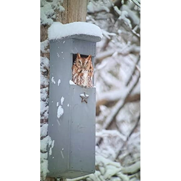 Screech Owl House - Nesting Box - Rectangular Opening
