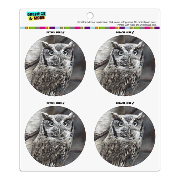 Screech Owl in a Birch Tree Refrigerator Fridge Locker Vinyl Circle Magnet Set