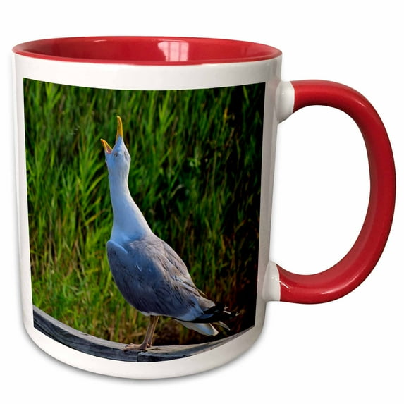 3drose, Screeching Seagull, 11oz Two-tone Red Mug