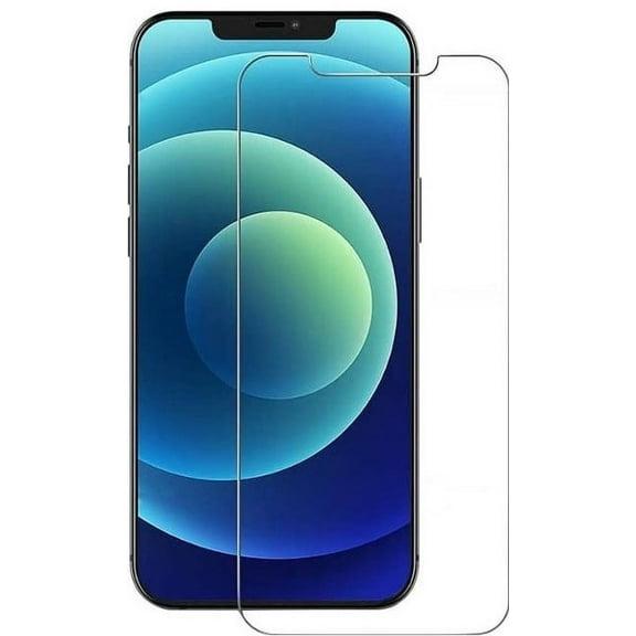 Screen Protector Lot of 10 Tempered GLASS for Apple iPhone XS Max / 11 Pro Max